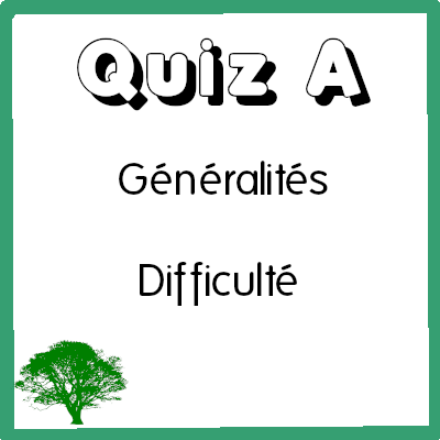 Quiz A