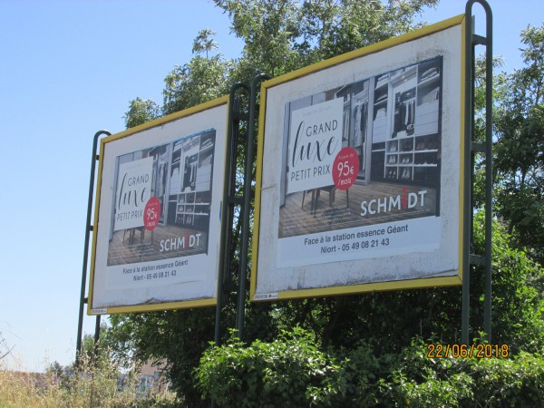 Les afficheurs  veulent-ils la peau du Grand Lyon ?