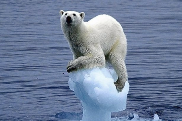 Changement climatique et affichage publicitaire