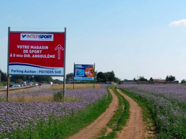 Poitiers : recouvrement de panneaux publicitaires