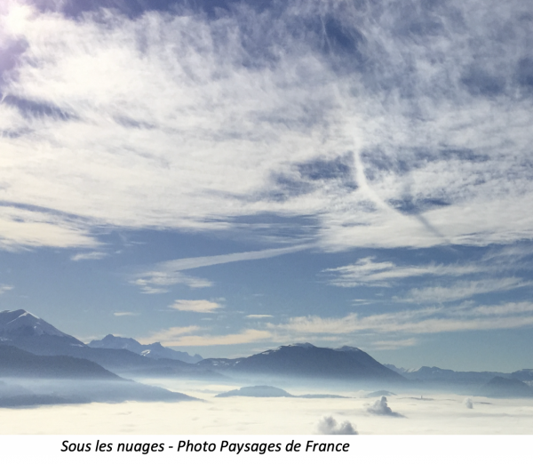 RLPi Grenoble-Alpes-Métropole : l'argent (sale) de la publicité a gagné 