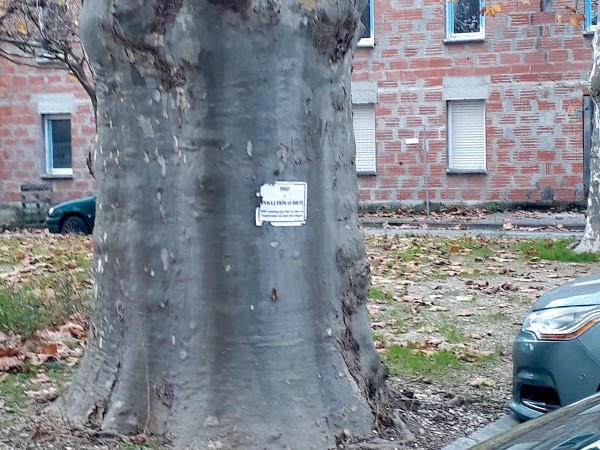 Le maire de Belin-Béliet doit d’abord balayer devant sa porte !