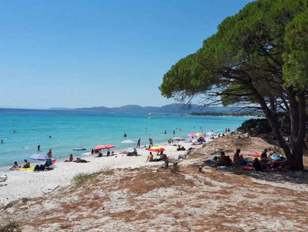 Pub en mer : le ministère remplace les avions par des bateaux !