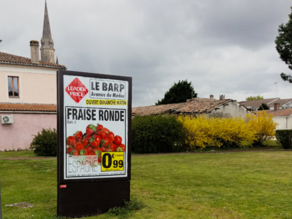 Le « pouvoir discrétionnaire » du préfet mis à mal par la Cour  Administrative d’Appel de Bordeaux